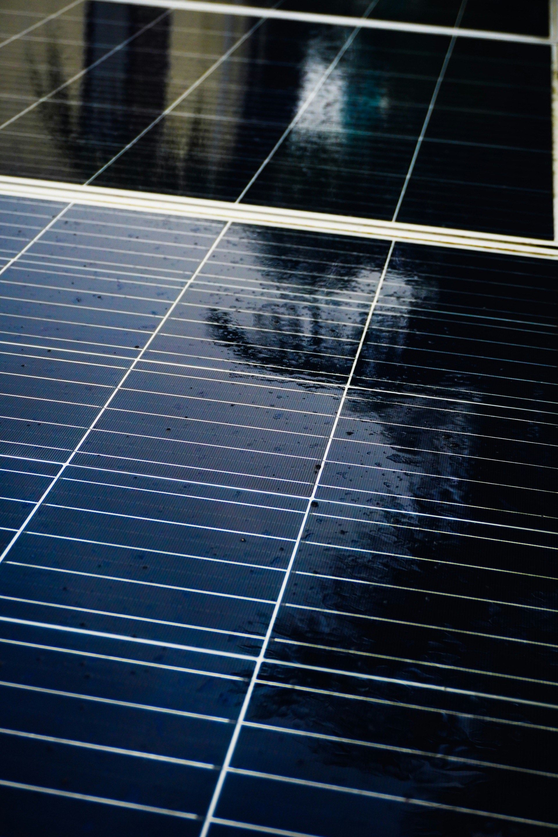 Close-up of solar panels being cleaned, water glistening on the surface