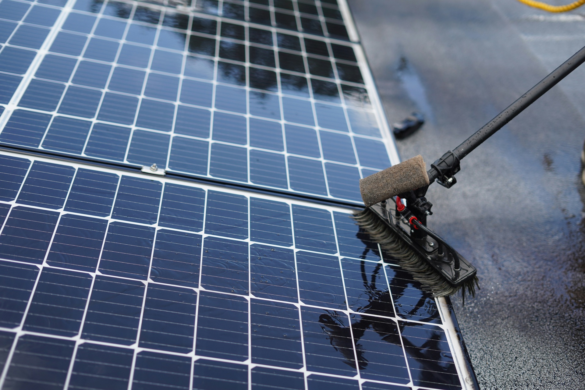 Technician with water-fed pole cleaning rooftop panels